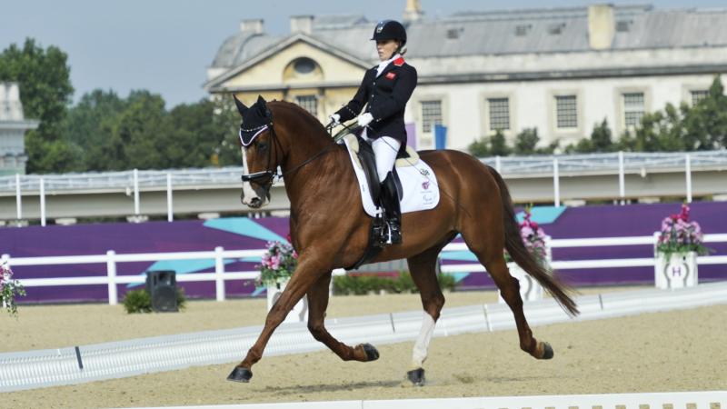 Sophie Wells Sophie Wells