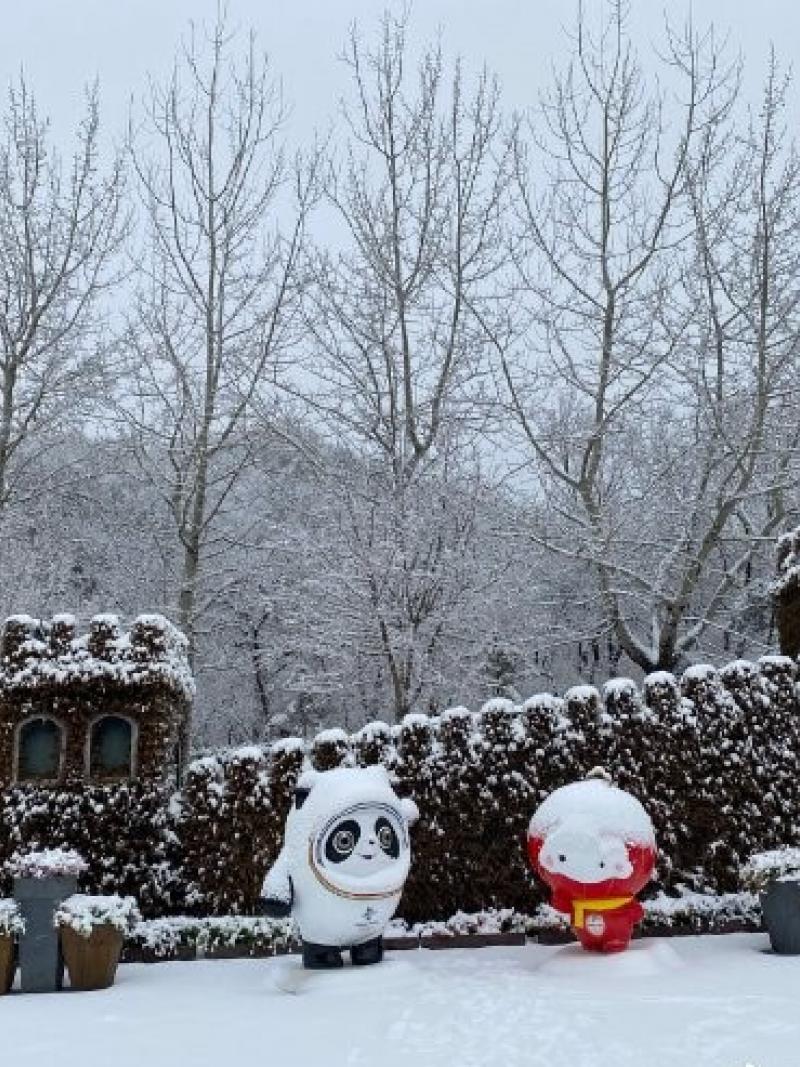 Snow covered scene with Beijing 2022 mascots