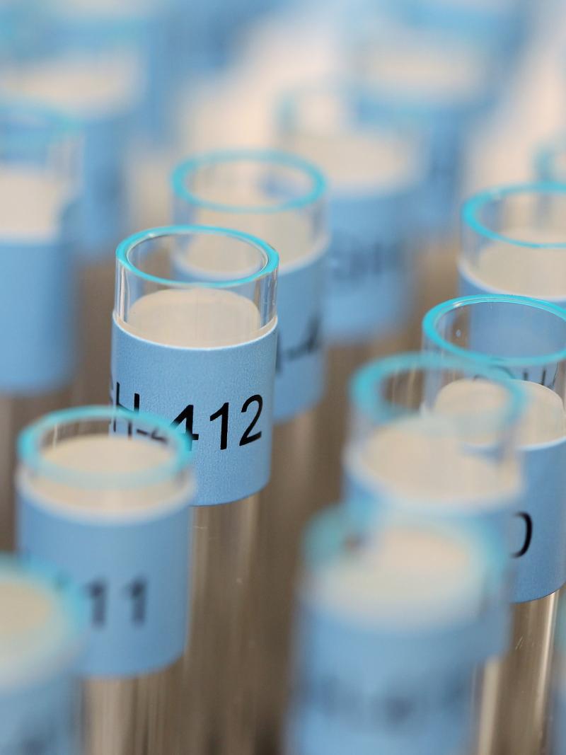 An image showing laboratory glass tubes