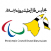 Paralympic Council of Brunei Darussalam Icon